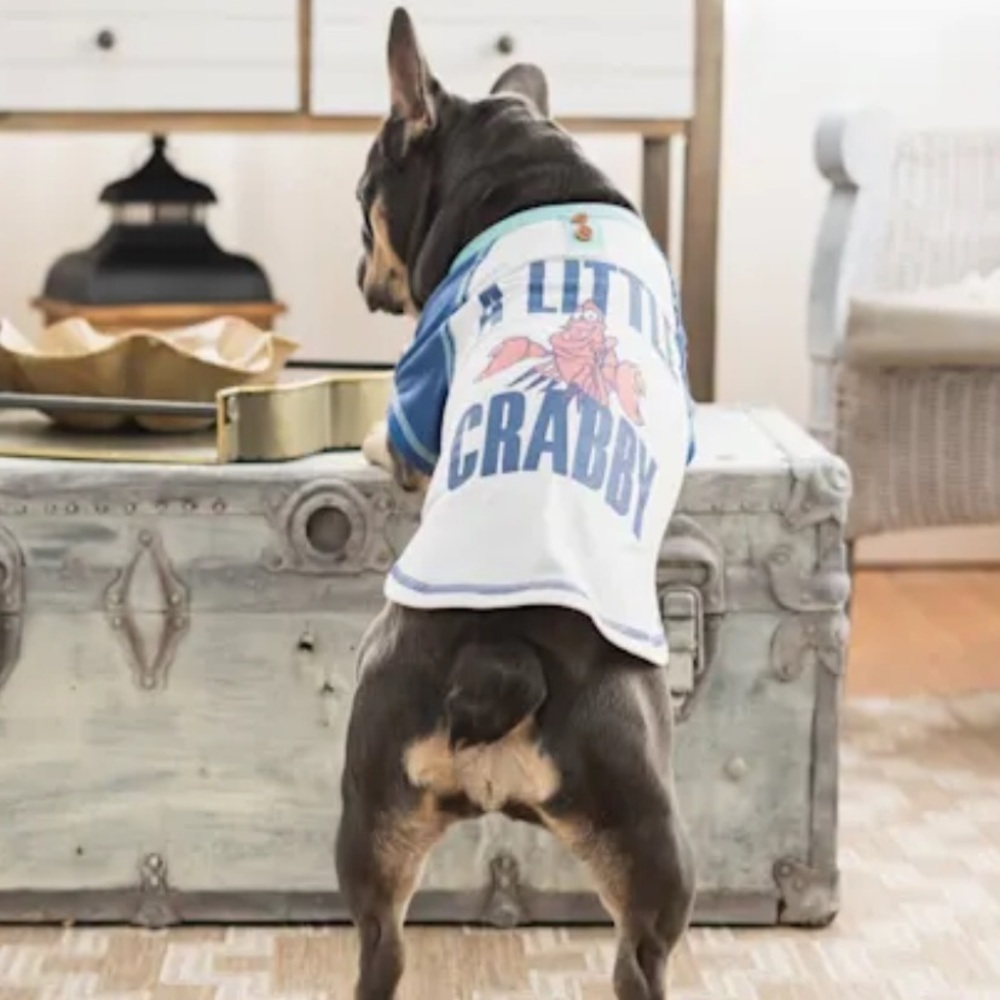 NWT Harry Barker "A Little Crabby" Henley Pet T-Shirt M